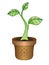 A young green plant is a sprout with three leaves in a craft clay flower pot decorated with a sun pattern. Home indoor plant or s