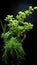 young green shoots, grass and moss on a dark background