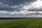 Young green wheat corn grass field landscape