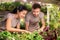 Young greenhouse workers or farmers in workwear bending over garden bed