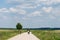 Young group riding bicycles by dirty road in countryside,group cyclists on a way between trees,young cyclists touring in Lithuania