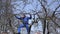 Young grower man pruning branches with shears high on tree on blue sky