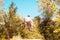 a young guy, an athlete, performs tricks with a bike, jumps on the springboard. in the forest. against the setting sun