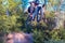 Young guy, cyclist, grouped, makes a jump from a bicycle. in the forest against the setting sun