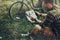 Young Guy Cyclist Sits On Summer Meadow Near Bicycle, Holding And Looking At Tablet Recreation Resting Travel Destination Concept