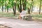 A young guy and his pregnant girl are sitting on a bench, against the background of greenery and trees. In anticipation of a child