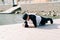 A young guy in sports black clothes on a pier near the lake doing sports exercises in the plank on a Sunny spring day, healthy