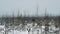 Young guy walking on snow covered prairie shrubbery on winter day