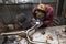 Young guy welder in a checkered red shirt welds a stainless steel pipe for car exhaust using agronomic welding to protect his eyes