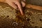 Young hand takes honey from a honeycomb