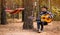 Young handsome attractive man in sweater playing guitar in forest sitting on swing. Casual man, life style.