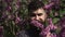 Young handsome bearded man with emotional face near bush lilac flower, closeup. Adult funny man face grimace surrounded