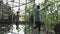 A young handsome man in an architect or lawyer suit walks around a modern office. Reflection in a glass table.