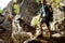 Young handsome man walking with huskies dog in canyon near water.