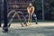 Young handsome man working out with battle rope demonstrating right grip and solid stance wearing workout mask, outdoors workout
