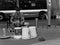 Young handsome street musician, playing drums on container boxes in an urban setting in front of a bus