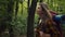 Young happy active lady backpacker walking in autumn wood, enjoying nature, carrying backpack with equipment on back