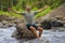 Young happy and attractive man with travel backpack hiking in river at forest feeling free enjoying nature and fresh environment