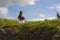 Young happy and beautiful red hair woman sitting on green field relaxed on grass practicing yoga exercise outdoors smiling in