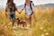 A young happy couple in love enjoys walking a meadow with their dog. Hiking, nature, relationship, together