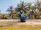 Young happy family activists collecting plastic waste on beach. Dad and son volunteers clean up garbage. Environmental