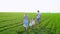 Young happy family of four goes on a green field with two children. Family with childs, kids walking on summer field