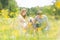Young happy pregnant couple petting it`s Golden retriever dog outdoors in meadow.