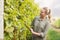 Young happy vintner looking at the grapes