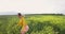 Young happy woman play in a field and touching yellow flowers. Beautiful carefree woman enjoying nature in blooming field