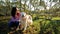 Young happy woman playing with Golden Retriever dog in the park