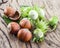 Young hazelnuts and ripe brown hazelnuts.