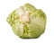 Young head of cabbage on white background