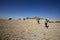 Young herdsman, shepherdess and cows in drought field