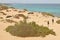 Young heterosexual couple walking towards shore on sandy beach with shrubs