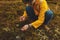 Young hiker picking and eating blue berries on the mountain