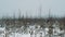 Young hiker walking on snow covered prairie shrubbery on winter day