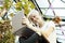 Young hipster woman with blonde short hair smiling and working on portable laptop computer, sitting on stairs. Indoor botanical ga