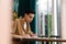 Young hispanic man student sitting at the cafe table indoors