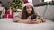 Young hispanic woman with dog make selfie by smartphone celebrating christmas lying on sofa at home