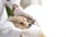 Young hispanic woman with dog veterinarian cleaning ears at clinic