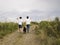 Young homosexual couple walking by the hand with two dogs