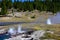 Young Hopeful Geyser Yellowstone National Park