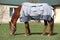 Young horse grazing in the new magnetic blanket at rural ranch