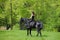 Young horseback rider having pleasure in forest