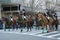 Young horseback riders participate at the St. Patrick\'s Day Parade