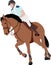 Young horseman riding elegant horse color illustration