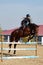 Young horsewoman on brown horse overcomes an obstacle outdoors, copy space. Equestrian sport.