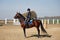 Young horsewoman riding on brown horse in paddok outdoors, copy space.