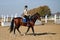 Young horsewoman riding on brown horse in paddok outdoors, copy space.