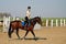 Young horsewoman riding on brown horse in paddok outdoors, copy space.